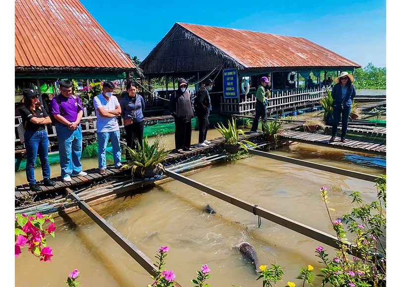 TP. Cần Thơ: Xây dựng sản phẩm, sự kiện thu hút khách dịp Lễ Quốc khánh 2-9