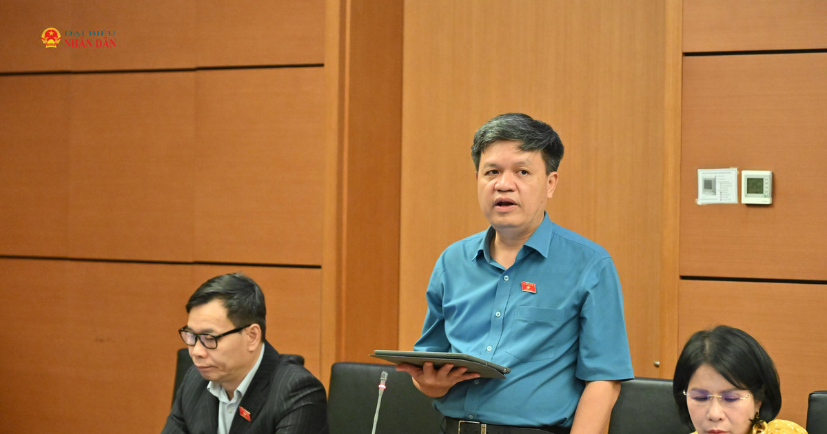TP. Hồ Chí Minh: Xây dựng Luật Đất đai theo hướng ổn định, lâu dài